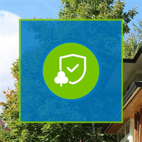 Tree Protection Bylaw Review | Engage Port Moody