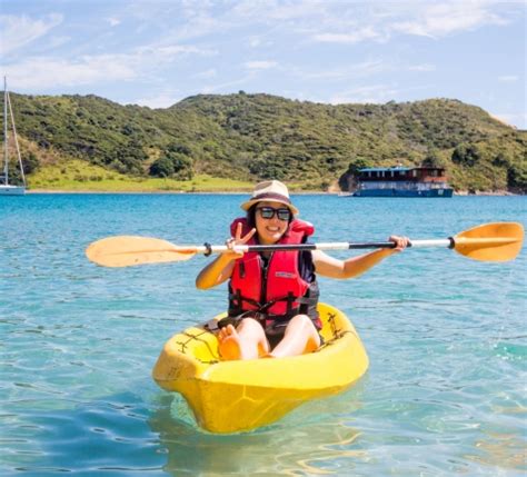 The BEST Paihia Tours and Things to Do in 2023 - FREE Cancellation | GetYourGuide