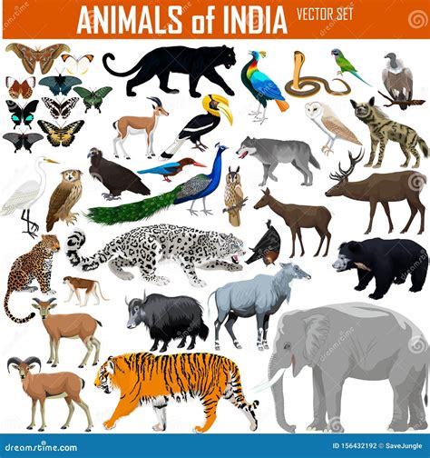 Vector Set of Animals of India Stock Vector - Illustration of leopard, cobra: 156432192