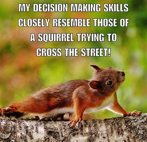 #decisions, #funnysquirrels The decision-making skills of a squirrel! | Decision making skills ...
