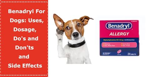 Benadryl For Dogs: Uses, Dosage, Do’s and Don’ts and Side Effects - PetXU