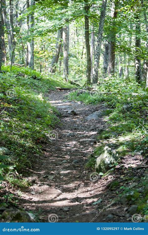 Hiking Trail in the Shenandoah National Park,Virginia. Stock Image ...