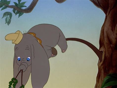 Dumbo in a tree Disney Day, Old Disney, Disney Love, Disney Magic, Disney Stuff, Disney Animated ...