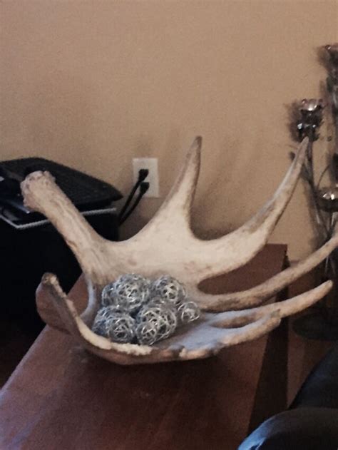 Moose antler decor bowl | Moose antler decor, Moose decor, Antlers decor