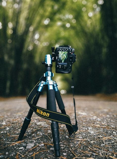 Camera On Tripod Pictures | Download Free Images on Unsplash