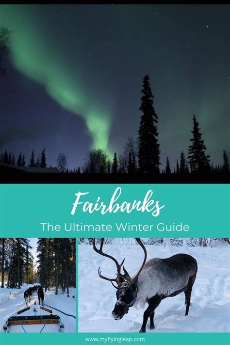 Top 21 Things to do in Fairbanks Alaska: Ultimate Winter Guide | Alaska ...