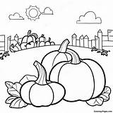 Pumpkin Patch Coloring Page  Pagescom sketch template