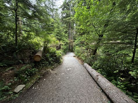 Hiking the Short Sand Beach Trail on the Oregon Coast — noahawaii