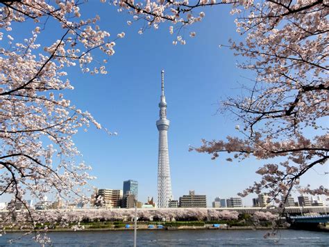 Tokyo Skytree Wallpapers - Wallpaper Cave