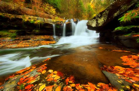 Download Forest Fall Nature Waterfall HD Wallpaper