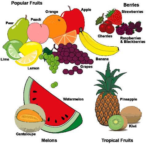 Biology: Blog #6 Which level of a food pyramid is the most important? Support your answer