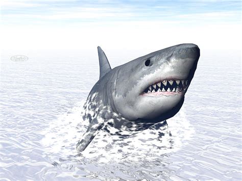 Shark attack - 3D render Digital Art by Elenarts - Elena Duvernay Digital Art - Fine Art America