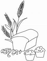 Free Printable Wheat Coloring Page Image  Home sketch template