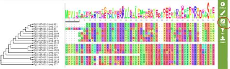 Creating a Multiple-Sequence Alignment — PATRIC Documentation