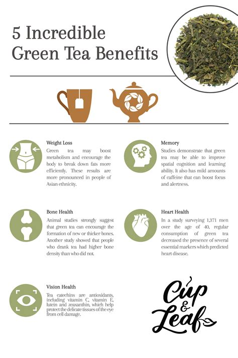 7 Green Tea Benefits and How to Prepare the Perfect Cup - Cup & Leaf #greentea #tea #tearecipes ...