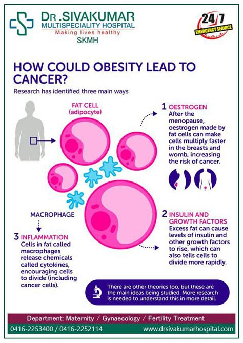 OBESITY AND CANCER - Dr. Sivakumar Multispeciality Hospital