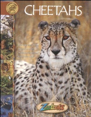 Cheetahs - Zoobooks at theBIGzoo | Cheetahs, Wild cats, Zoo book