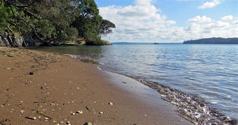 sconzani: Auckland walks: the Herne Bay Beaches