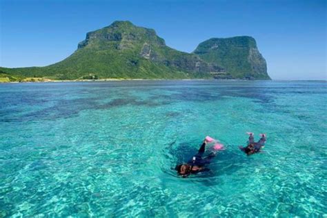 Snorkeling-at-Neds-Beach-Lord-Howe-Island - Illawarra Ramblers