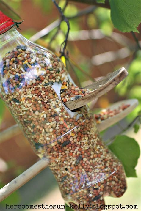 10 DIY Bird Feeders That Will Fill Your Garden with Songbirds - Bird Feeders