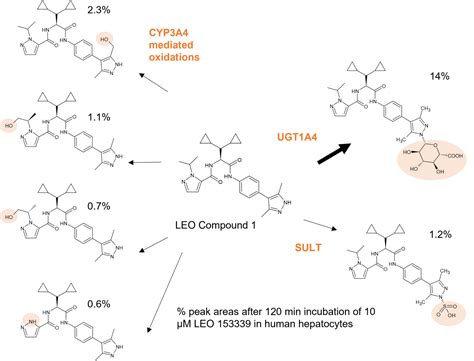 N-glucuronidation: the human element - Hypha Discovery Blogs