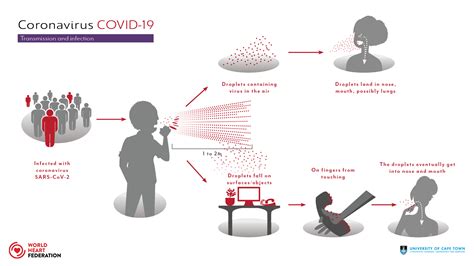 COVID-19 transmission - World Heart Federation