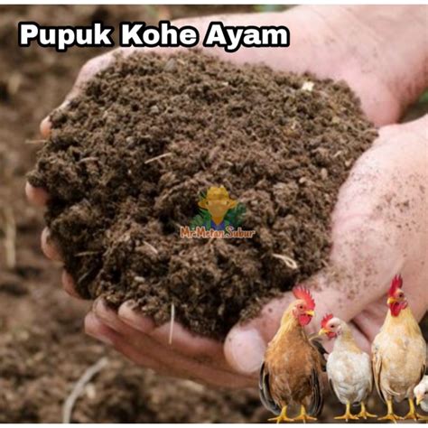 Jual Pupuk kandang kohe ayam 1 kg Indonesia|Shopee Indonesia