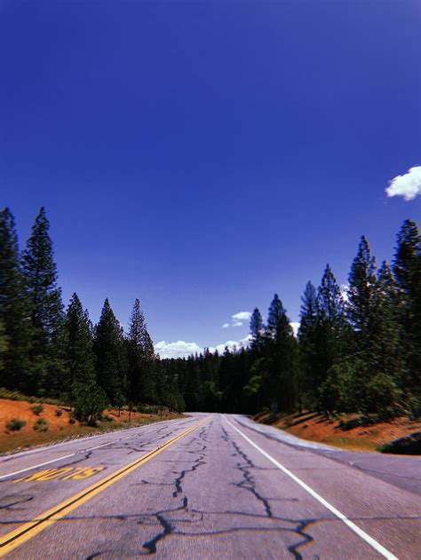 HD wallpaper: united states, yosemite national park, trees, roads ...