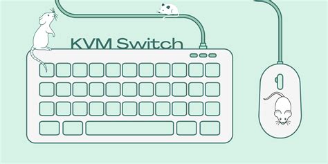 What does a KVM switch do? | Bzbgear