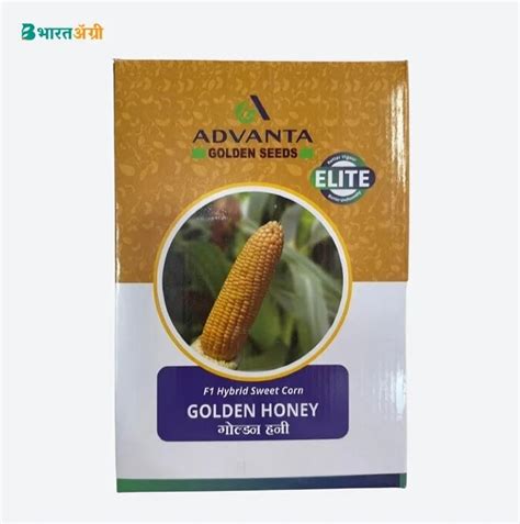 Advanta Golden Honey F1 Hybrid Sweet Corn Seeds| Buy Now – BharatAgri ...