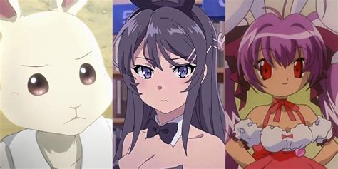 Top more than 78 bunny ears anime - in.coedo.com.vn
