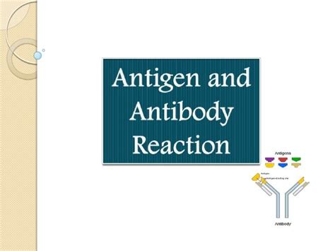 Antigen and antibody reaction