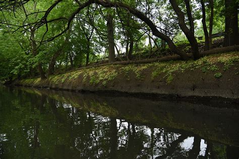 Canoeing Along the Restored Bronx River - Curbed NY