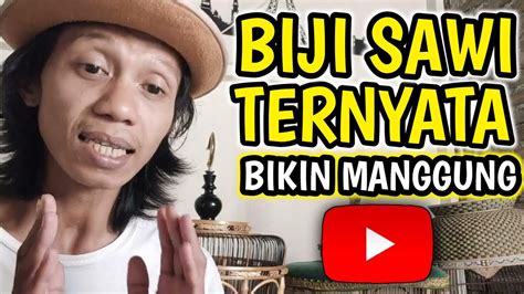 MANFAAT BIJI SAWI UNTUK PERKUTUT CEPAT GACOR - YouTube