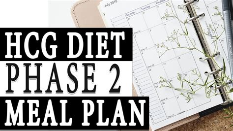 HCG Diet Phase 2 Meal Plan - HCG24.com