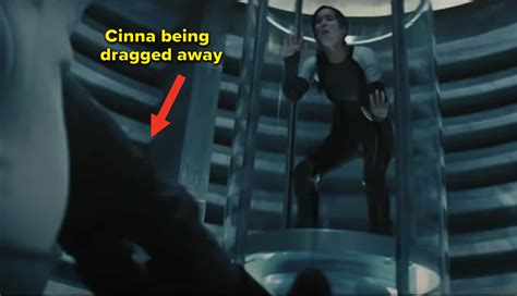 Best Moments from Hunger Games on Screen & in Books