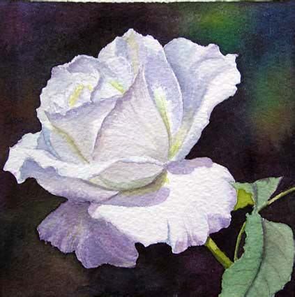 Watercolor Rose Painting of white Rose by Doris Joa - Watercolor & Oil ...