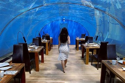 Hilton Maldives Resort & Spa Undersea Water Magic Pictures | Underwater hotel, Underwater ...