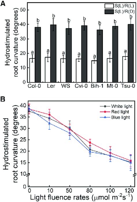 Root Hydrotropic Response Is Increased in the Dark (A) Hydrotropic... | Download Scientific Diagram