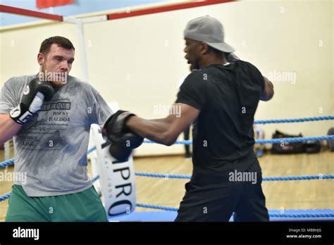 Boxing, Sparring in Gym Stock Photo - Alamy