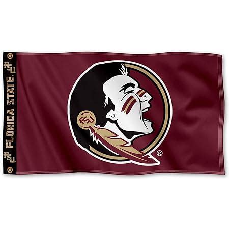 Amazon.com : Florida State FSU Noles Printed Header 3x5 Foot Banner ...