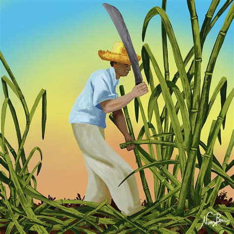 Harvesting Sugar Cane Digital Art by Nancy Berrios - Fine Art America