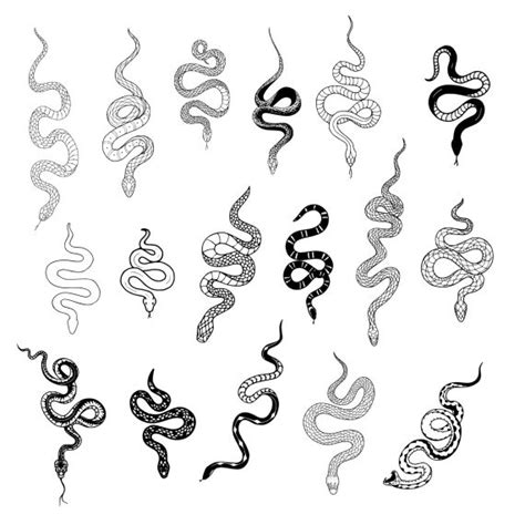 Snake Tattoo Set Vector (EPS, SVG) | Small hand tattoos, Small snake ...