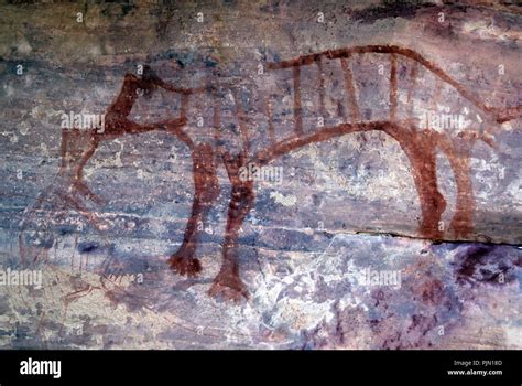 Aboriginal rock art depicting a Tasmanian Tiger Stock Photo - Alamy