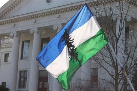 Cascadia Flag 3'x5'