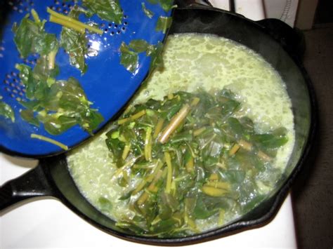 How to Cook Verdolagas (aka Purslane)