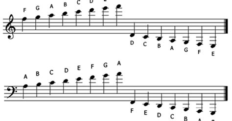 How To Read Music Notes Above And Below The Staff | Bass Clef Notes