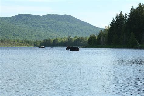 Moosehead Lake, Greenville, Maine | Moosehead lake maine, Greenville maine, Maine