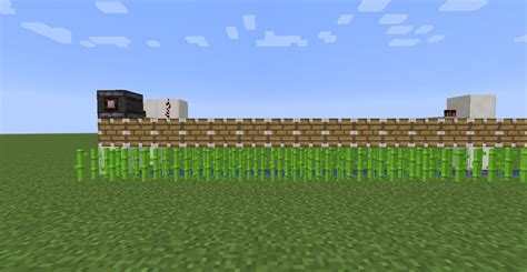 infinity expandable sugar cane farm with 1 Observer Block. : r/Minecraft