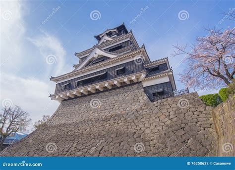 Kumamoto Castle with Sakura or Cherry Blossoms Stock Photo - Image of ...